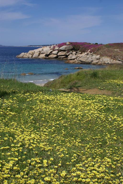Hotel Pipo Sanxenxo Dış mekan fotoğraf